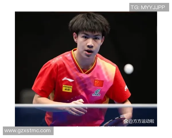 北京乒乓球队的奋斗历程与荣耀时刻全景回顾