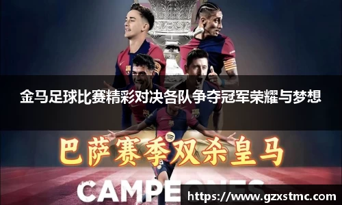 金马足球比赛精彩对决各队争夺冠军荣耀与梦想