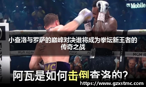 JN体育官方网站