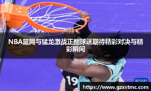 JN体育官方网站