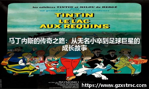 JN体育官方网站