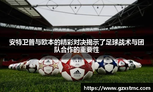 江南JNSport体育