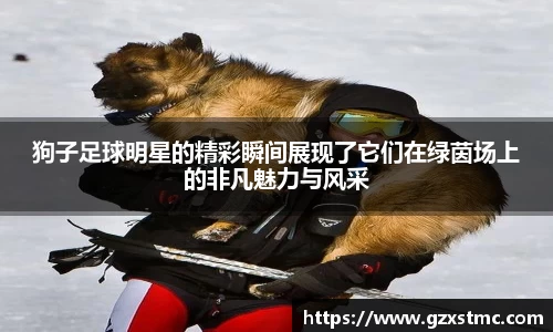 江南·体育中国官方网站